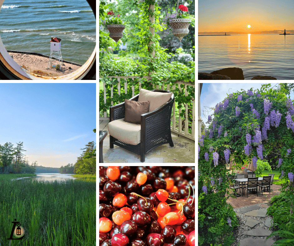 A collage showcasing serene landscapes, beach views, and vibrant plants, including a sunset, a lakeside scene, cherry tomatoes, and a cozy outdoor seating area. A collage showcasing serene landscapes, beach views, and vibrant plants, including a sunset, a lakeside scene, cherry tomatoes, and a cozy outdoor seating area.