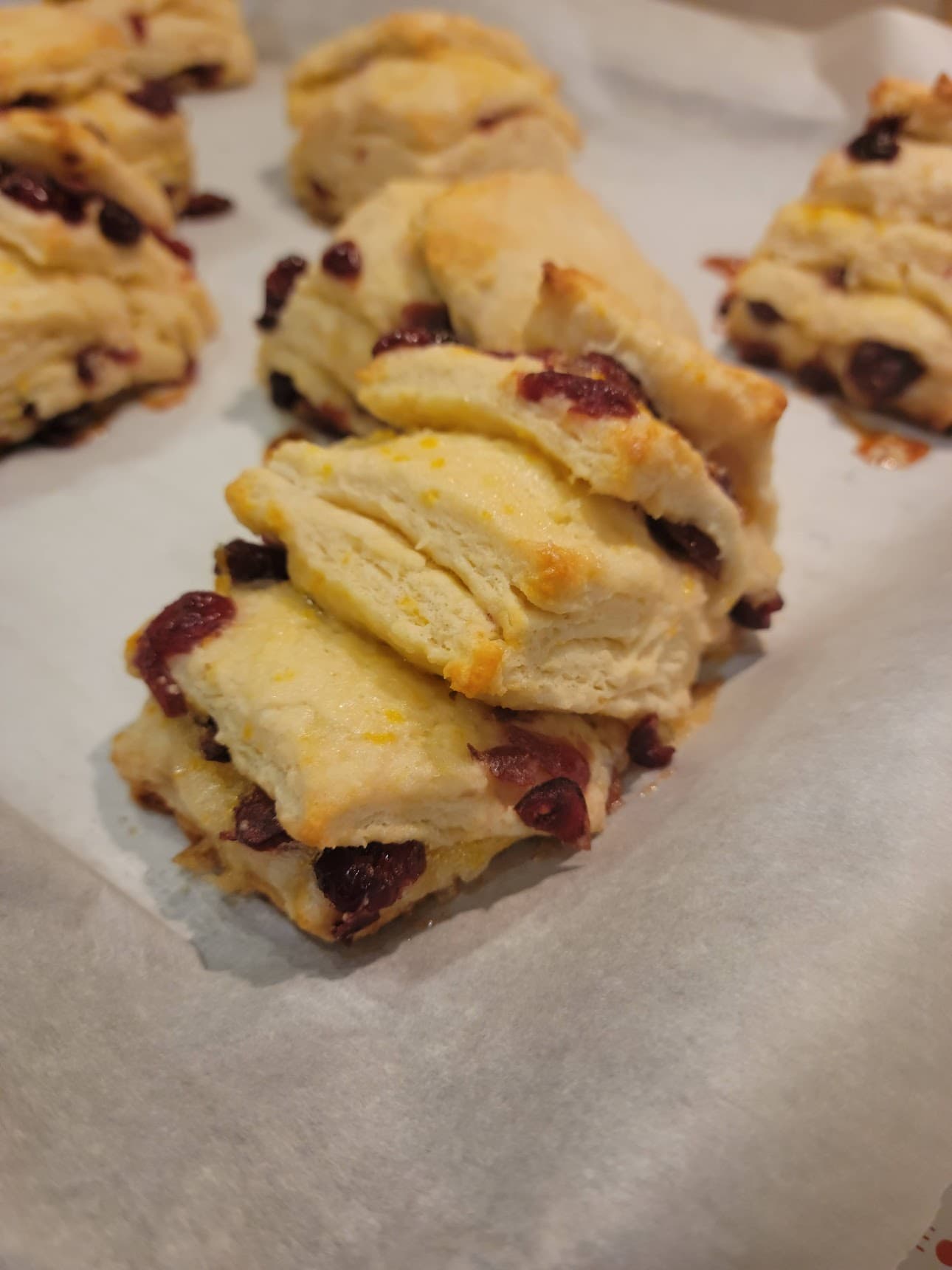 A close-up of freshly baked scones with cranberries on parchment paper. A close-up of freshly baked scones with cranberries on parchment paper.