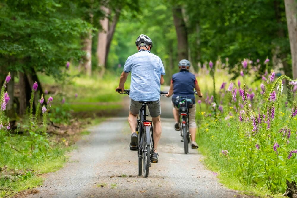 Two cyclists ride along a gravel path surrounded by lush greenery and wildflowers.